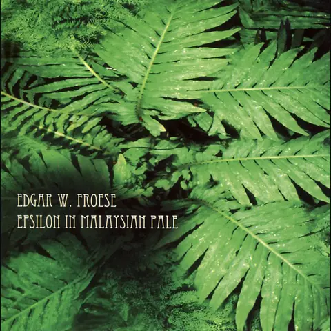 Epsilon In Malaysian Pale cover