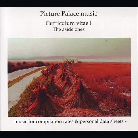 Curriculum Vitae I (The Aside Ones - Music For Compilation Rates And Personal Data Sheets) cover